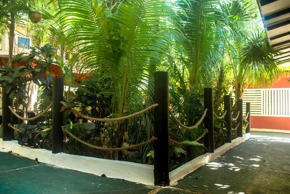 Energy 5th Av Playa del Carmen