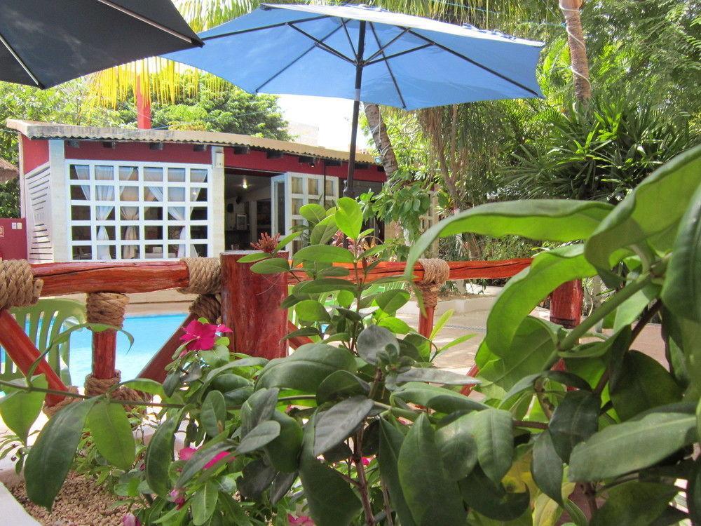 Hotel Energy 5th Av Playa del Carmen